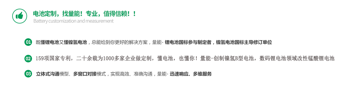 電池定制 電池定制