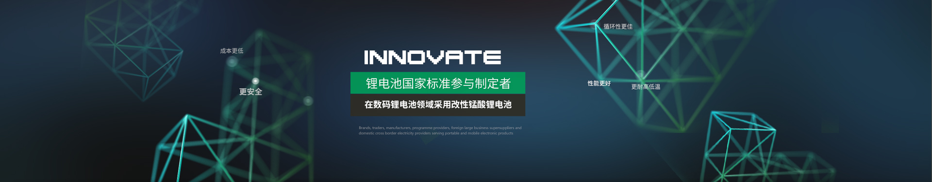 儲(chǔ)能鋰電池 儲(chǔ)能鋰電池